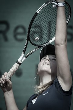 Ausschnitte 2239 - Rosenpokal Uetersen